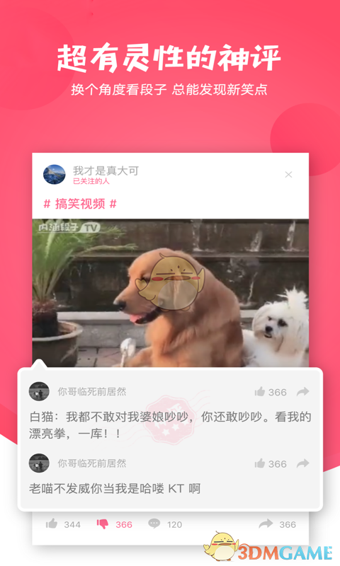 电影水饺皇后